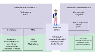 elevhälsan som helhet