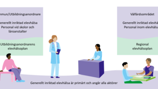 Bild: Generellt inriktad elevhälsa är primärt och angår alla aktörer