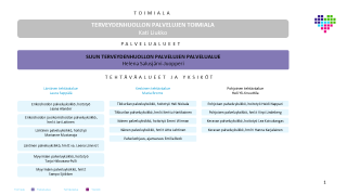 Suun terveydenhuolto