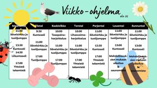viikko26