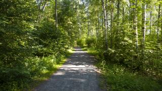 Ulkoilupolku