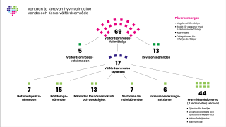 Kuva hyvinvointialueen luottamuselinorganisaatiosta