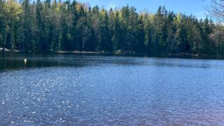 Kuva Kuusijärven hiekkarannalta aurinkoisena päivänä. Kuvassa näkyy järvi ja metsää