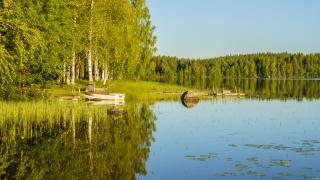 Järvimaisema kesällä